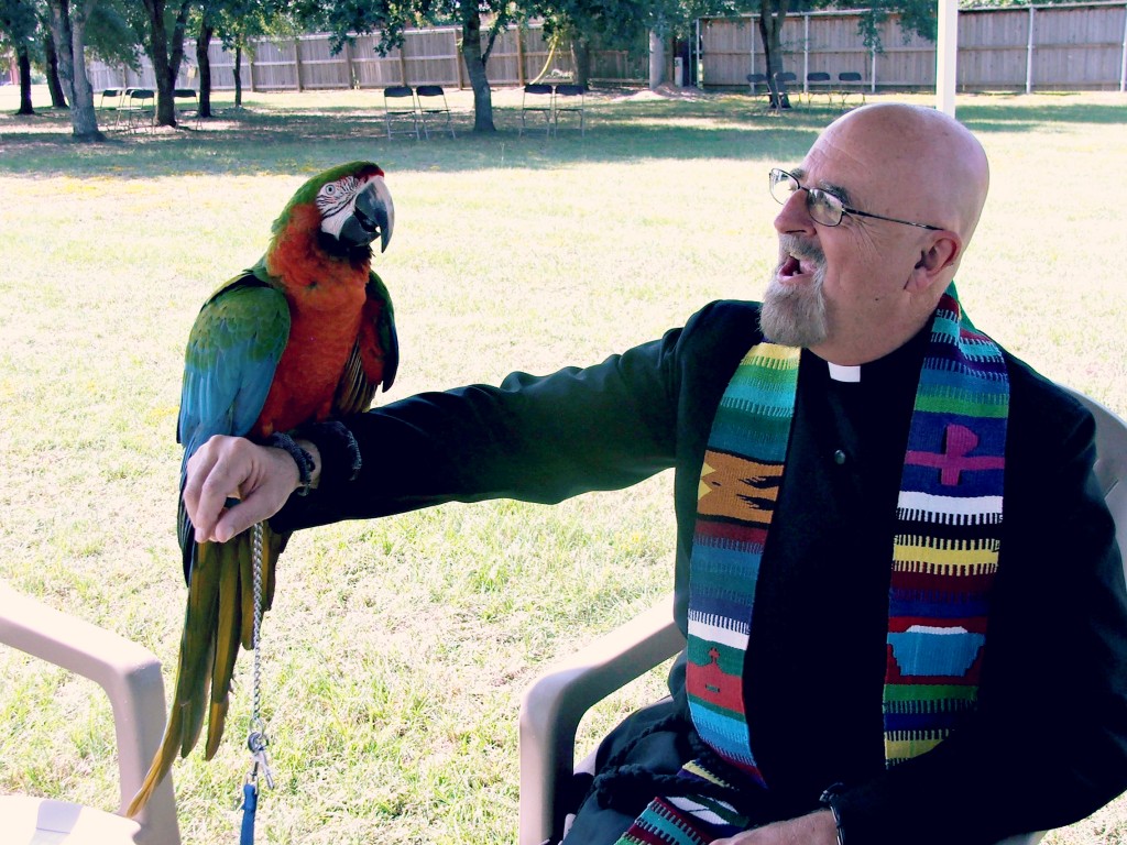 blessingofthepets