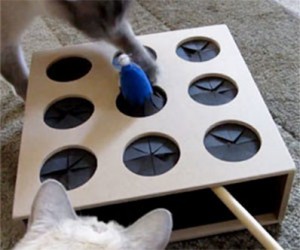cat-whack-a-mole-toy
