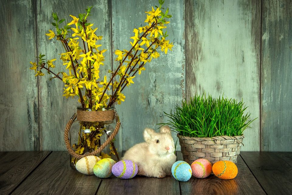 The Origin of the Easter Bunny - All Pets’ Blog of Current Happenings