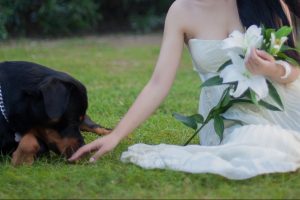 pet wedding photo