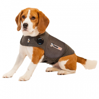 How to Keep Your Pet Calm this 4th of July Holiday - ThunderShirt