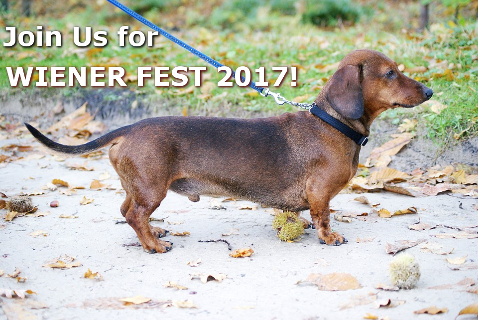 Wiener Fest 2017