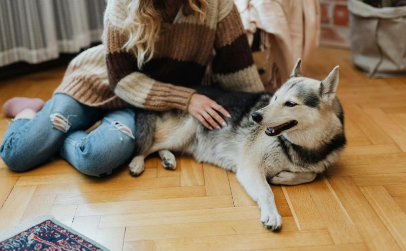 Indoor air quality for pets